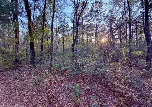 Photo 3 of Land for sale at 430 Weenee Rd, Jamestown, SC 29453 | MLS# 26009220 | Listing updated on 2026-09-29