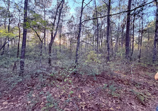 Photo 4 of Land for sale at 430 Weenee Rd, Jamestown, SC 29453 | MLS# 26009220 | Listing updated on 2026-09-29