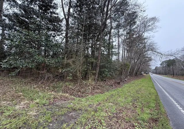 Homes for sale in Cottageville, SC | 9750 Cottageville Hwy, Cottageville, SC 29435 | MLS# 26006404