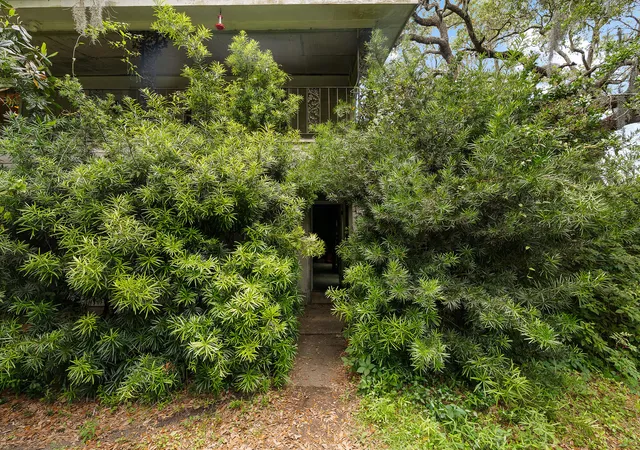 4th image of 2180 Wappoo Hall Rd, Charleston, SC 29412 | MLS# 25013824