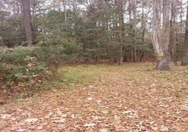 Homes for sale in Walterboro, SC | Lot 208 Prices Bridge Lane, Walterboro, SC 29488 | MLS# 25031857