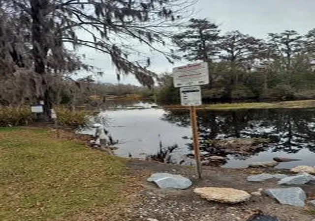 Homes for sale in Walterboro, SC | Lot 208 Prices Bridge Lane, Walterboro, SC 29488 | MLS# 25031857