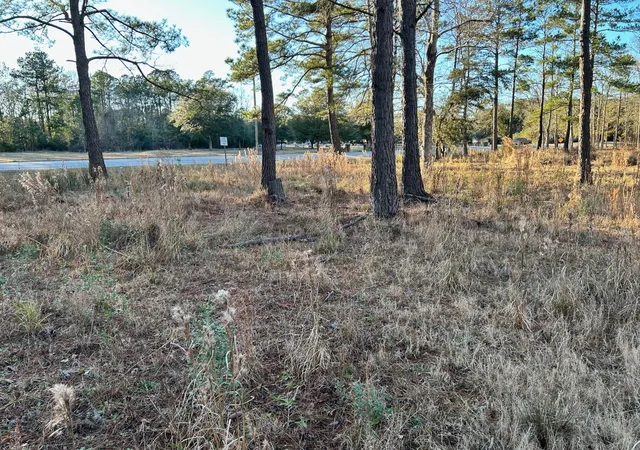 3rd image of 1420 Pinopolis Rd, Moncks Corner, SC 29461 | MLS# 26004331