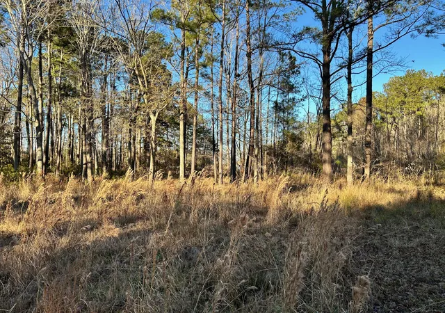 4th image of 1420 Pinopolis Rd, Moncks Corner, SC 29461 | MLS# 26004331