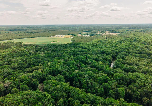 3rd image of 0 Parnel Rd, Cope, SC 29038 | MLS# 26014446