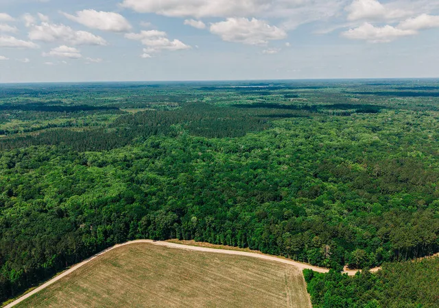 4th image of 0 Parnel Rd, Cope, SC 29038 | MLS# 26014446