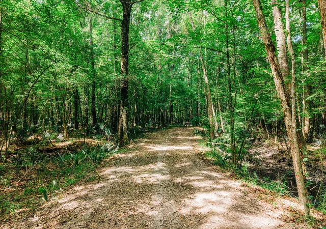 5th image of 0 Parnel Rd, Cope, SC 29038 | MLS# 26014446