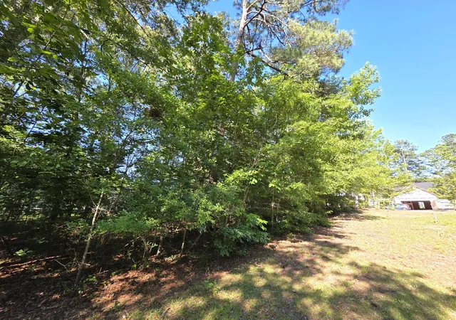 Homes for sale in Santee, SC | 620 Plantation Dr, Santee, SC 29142 | MLS# 26016366