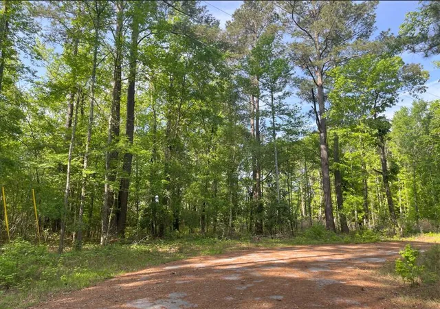 Homes for sale in Bamberg, SC | 0 Robin Dr, Bamberg, SC 29003 | MLS# 26016915