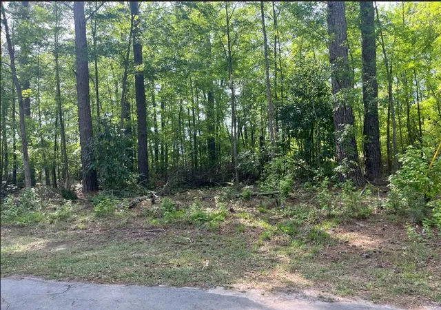 Photo 3 of Land for sale at 0 Robin Dr, Bamberg, SC 29003 | MLS# 26016915 | Listing updated on 2026-06-10