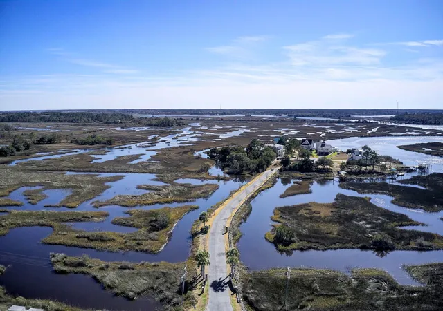 Homes for sale in Johns Island, SC | 549 Towles Crossing Dr, Johns Island, SC 29455 | MLS# 26019057