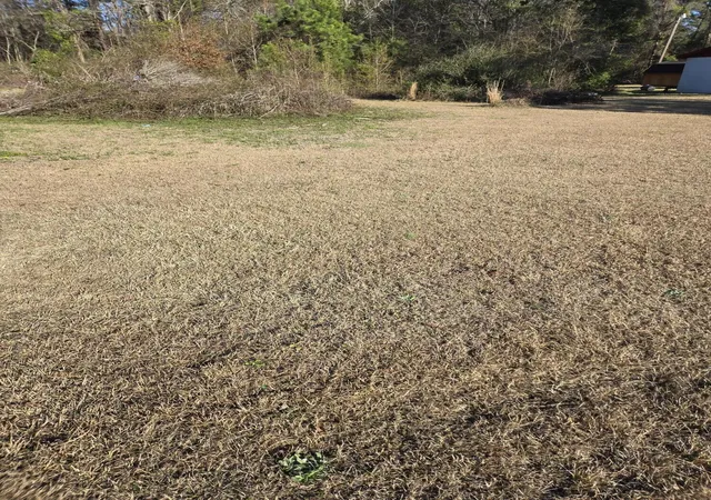 1st image of 0 Bass Dr, Holly Hill, SC 29059 | MLS# 26020235