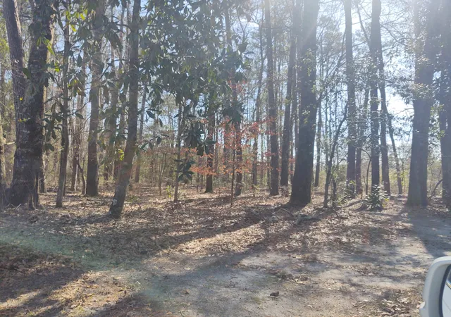 Photo 2 of Land for sale at 10839 Dorchester Rd, Summerville, SC 29485 | MLS# 25025517 | Listing updated on 2026-09-17