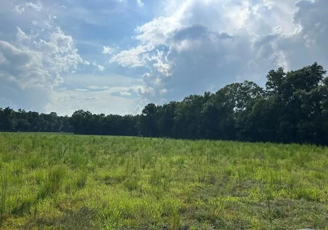 1st image of Lot 1 7 Mile Rd, Harleyville, SC 29448 | MLS# 26022227