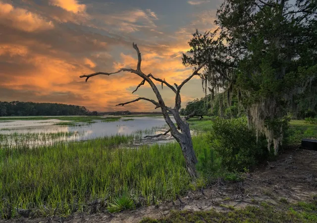 Homes for sale in Edisto Island, SC | 1513 Hwy 174, Edisto Island, SC 29438 | MLS# 26018730