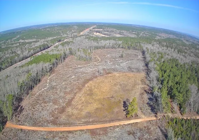 Photo 3 of Land for sale at Tbd Log Cabin Ln, Saint Matthews, SC 29135 | MLS# 26009557 | Listing updated on 2026-07-16