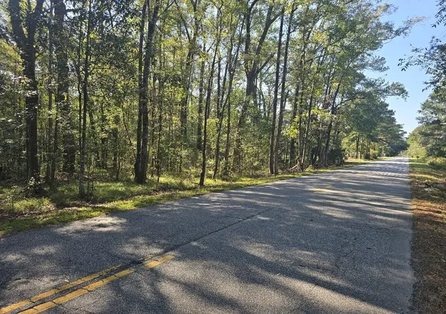 Land for sale at 2442 Peirce Rd, Cottageville, SC 29435 | MLS# 26028522