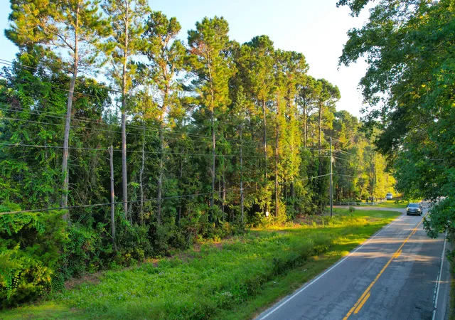 5th image of 0 Rifle Range Rd #(Lot 1 & 2), Mount Pleasant, SC 29466 | MLS# 25027589