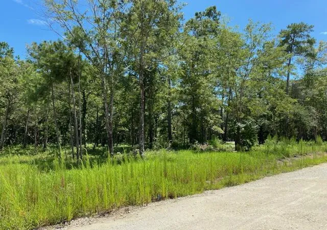 Photo 3 of Sale Pending at 7214 Raw Dew Ln #Lot F, Awendaw, SC 29429 | MLS# 22021139 | Listing updated on 2024-08-22