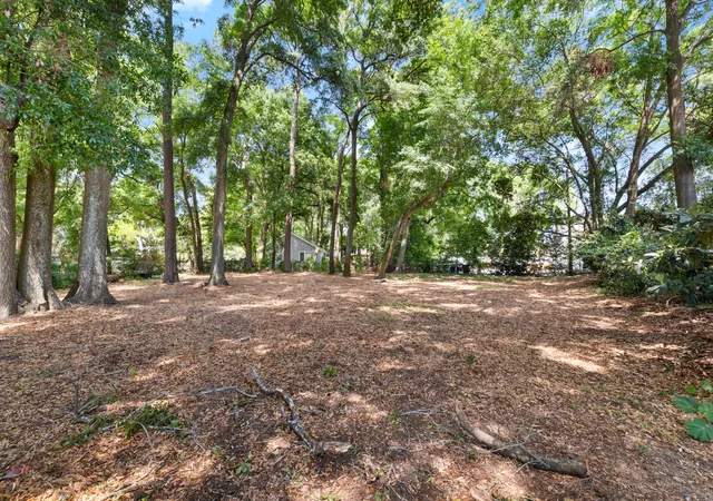 22nd image of 0 Toler Dr, Mount Pleasant, SC 29464 | MLS# 26014190