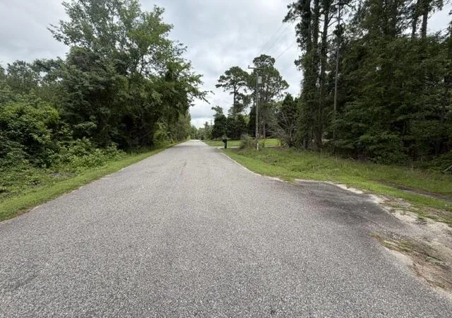 Homes for sale in Manning, SC | Tbd Lakewood Dr, Manning, SC 29102 | MLS# 26020159
