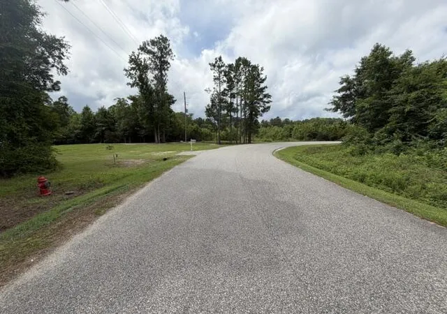 Homes for sale in Manning, SC | Tbd Lakewood Dr, Manning, SC 29102 | MLS# 26020159