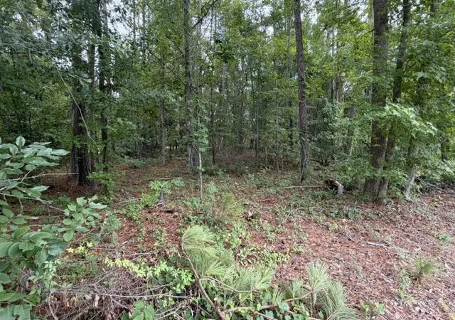 Homes for sale in Manning, SC | Tbd Lakewood Dr, Manning, SC 29102 | MLS# 26020159