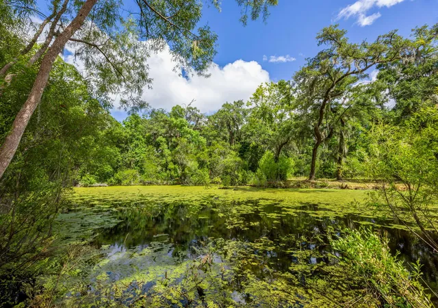 1st image of 0 Thorn Chase Ln, Johns Island, SC 29455 | MLS# 25029818