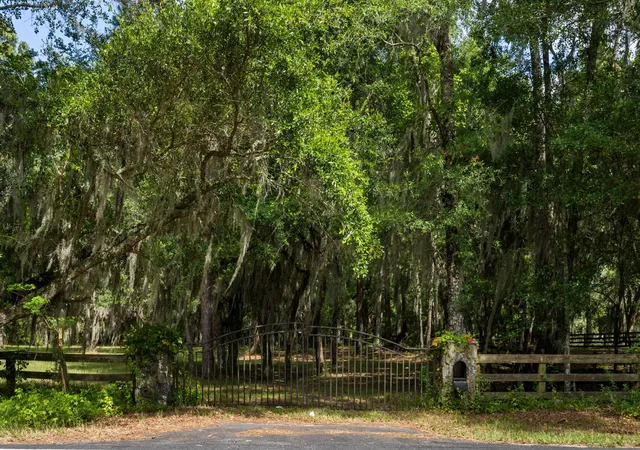 2nd image of 0 Thorn Chase Ln, Johns Island, SC 29455 | MLS# 25029818