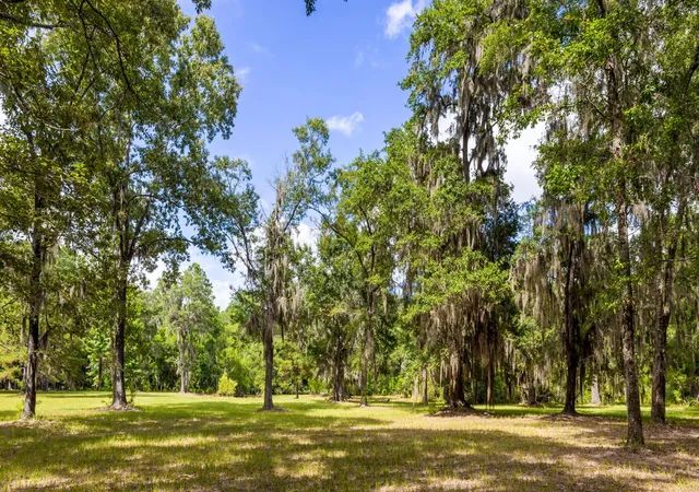 3rd image of 0 Thorn Chase Ln, Johns Island, SC 29455 | MLS# 25029818