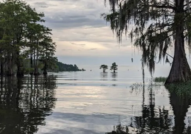 68th image of 451 Kelton Rd, Saint Stephen, SC 29479 | MLS# 26016942