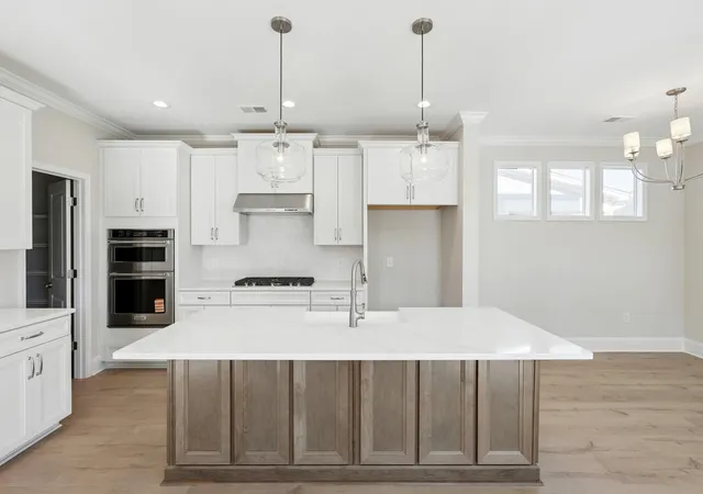 Photo 3 of Sale Pending at 244 Newsday St, Charleston, SC 29492 | MLS# 26010227 | Listing updated on 2026-08-04
