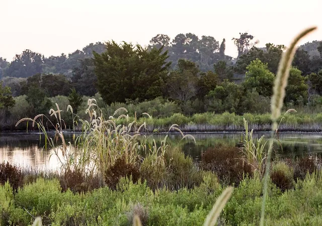 Photo 3 of Land for sale at 1120 Sound Dr, Johns Island, SC 29455 | MLS# 26019274 | Listing updated on 2026-09-14