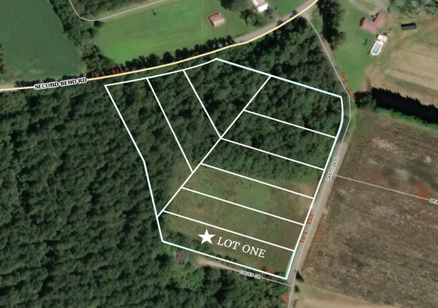 2nd image of 1 Dantzler Rd #Lot 1, Harleyville, SC 29448 | MLS# 26019972