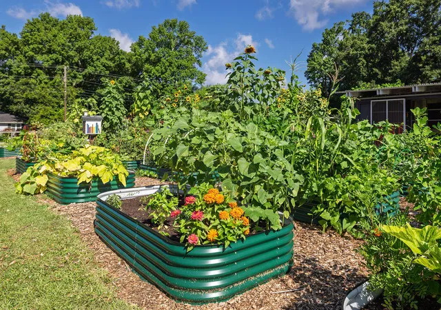 44th image of 1056 Keats Rd, Charleston, SC 29407 | MLS# 26018333