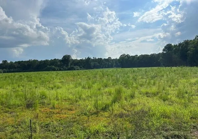 1st image of Lot 2 7 Mile Rd, Harleyville, SC 29448 | MLS# 26022228