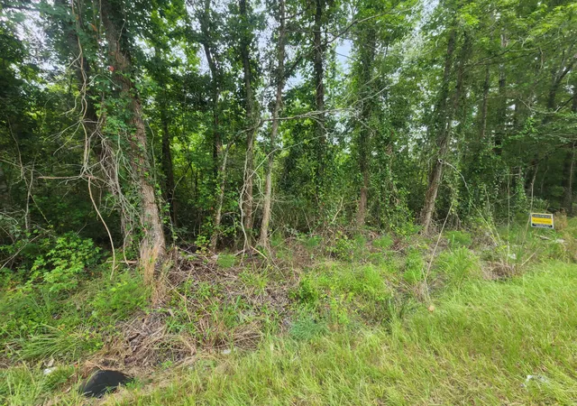 Photo 3 of Land for sale at 1 Freedom Rd, Branchville, SC 29432 | MLS# 22021944 | Listing updated on 2026-08-10