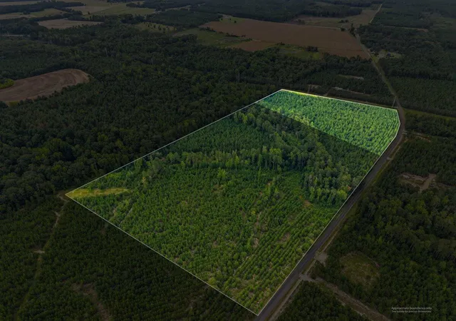 Photo 3 of Land for sale at Lot 4 Catalina Blvd, Swansea, SC 29160 | MLS# 26023195 | Listing updated on 2026-09-01