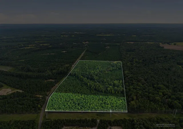 Photo 4 of Land for sale at Lot 4 Catalina Blvd, Swansea, SC 29160 | MLS# 26023195 | Listing updated on 2026-09-01
