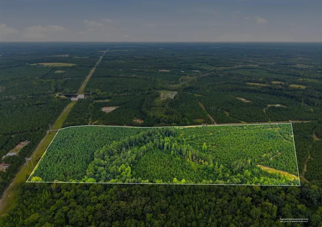 Photo 5 of Land for sale at Lot 4 Catalina Blvd, Swansea, SC 29160 | MLS# 26023195 | Listing updated on 2026-09-01