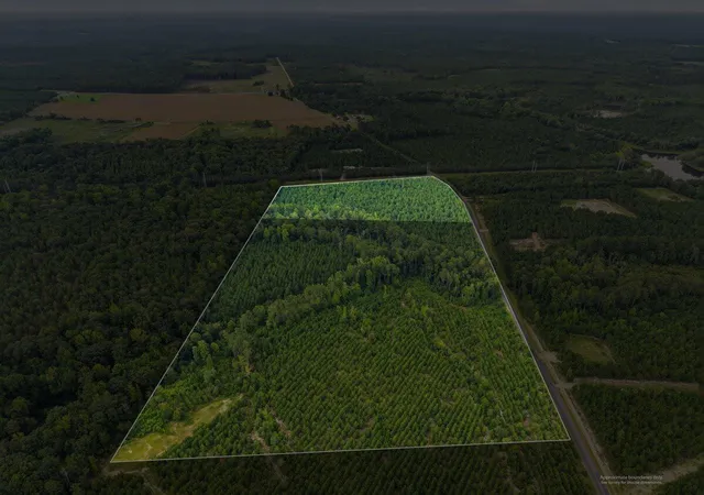 Photo 7 of Land for sale at Lot 4 Catalina Blvd, Swansea, SC 29160 | MLS# 26023195 | Listing updated on 2026-09-01