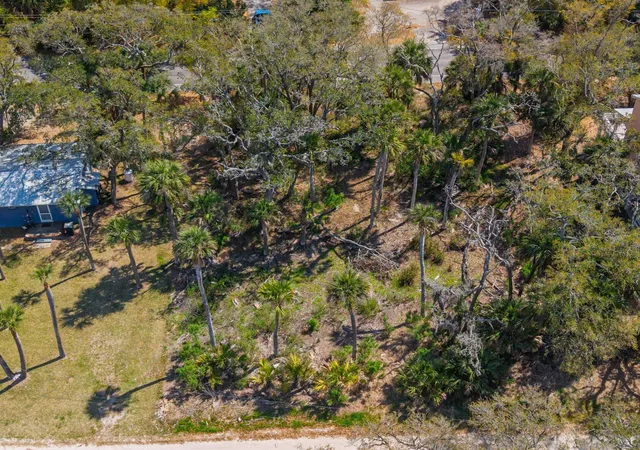 Photo 3 of Land for sale at 307 Jungle Rd, Edisto Island, SC 29438 | MLS# 26022644 | Listing updated on 2026-08-15