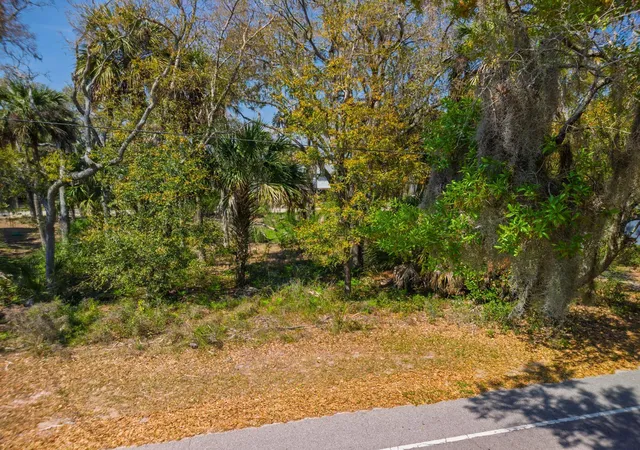 Photo 4 of Land for sale at 307 Jungle Rd, Edisto Island, SC 29438 | MLS# 26022644 | Listing updated on 2026-08-15
