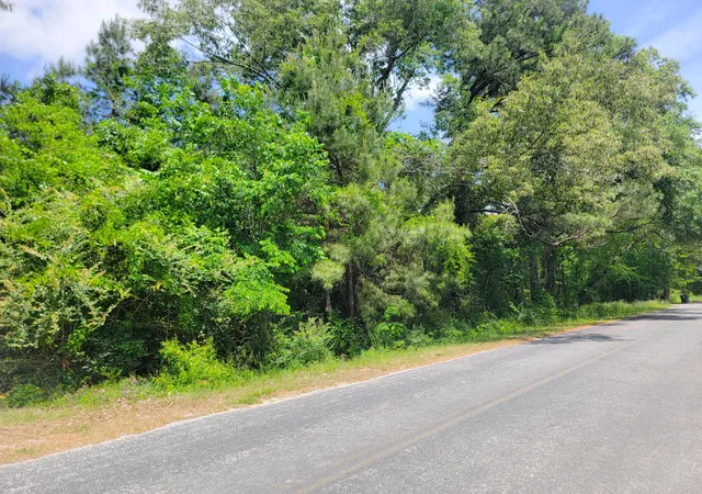 Photo 3 of Land for sale at 0000 Murraysville Rd, Moncks Corner, SC 29461 | MLS# 26012112 | Listing updated on 2026-06-08