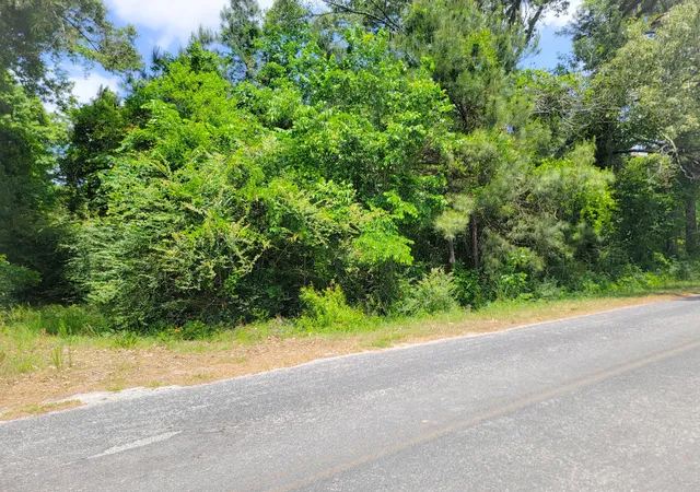 Photo 3 of Land for sale at 0000 Murraysville Rd, Moncks Corner, SC 29461 | MLS# 26012112 | Listing updated on 2026-06-08