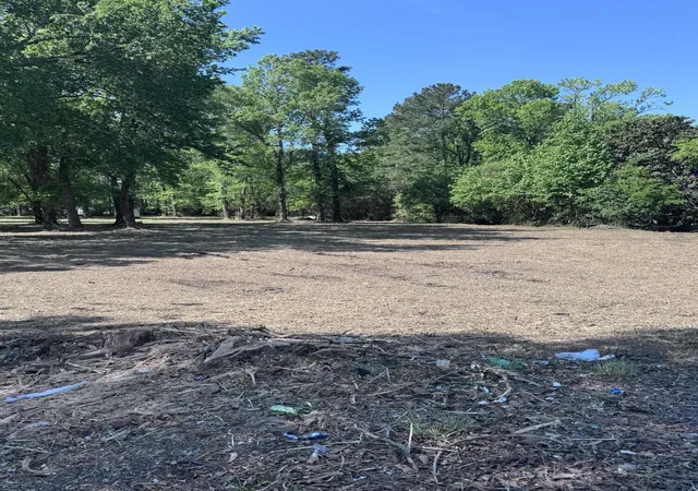 4th image of 465 E Main St, Moncks Corner, SC 29461 | MLS# 26010330