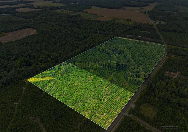 Photo 2 of Land for sale at Lot 1 Catalina Blvd, Swansea, SC 29160 | MLS# 26023187 | Listing updated on 2026-09-01