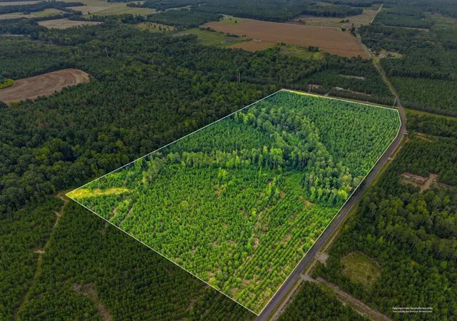 Photo 3 of Land for sale at Lot 1 Catalina Blvd, Swansea, SC 29160 | MLS# 26023187 | Listing updated on 2026-09-01