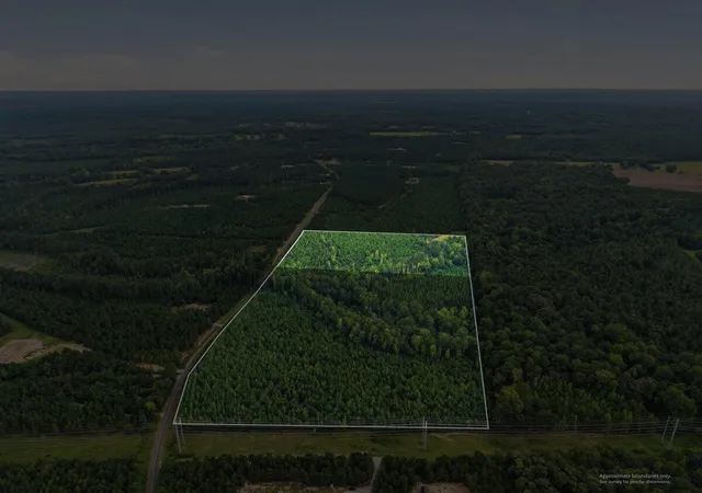 Photo 5 of Land for sale at Lot 1 Catalina Blvd, Swansea, SC 29160 | MLS# 26023187 | Listing updated on 2026-09-01