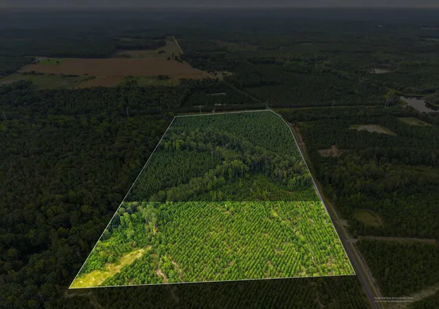 Photo 7 of Land for sale at Lot 1 Catalina Blvd, Swansea, SC 29160 | MLS# 26023187 | Listing updated on 2026-09-01